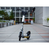 Glion Balto X2 Electric Scooter