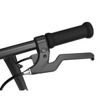 Razor Black Label E100 Electric Scooter
