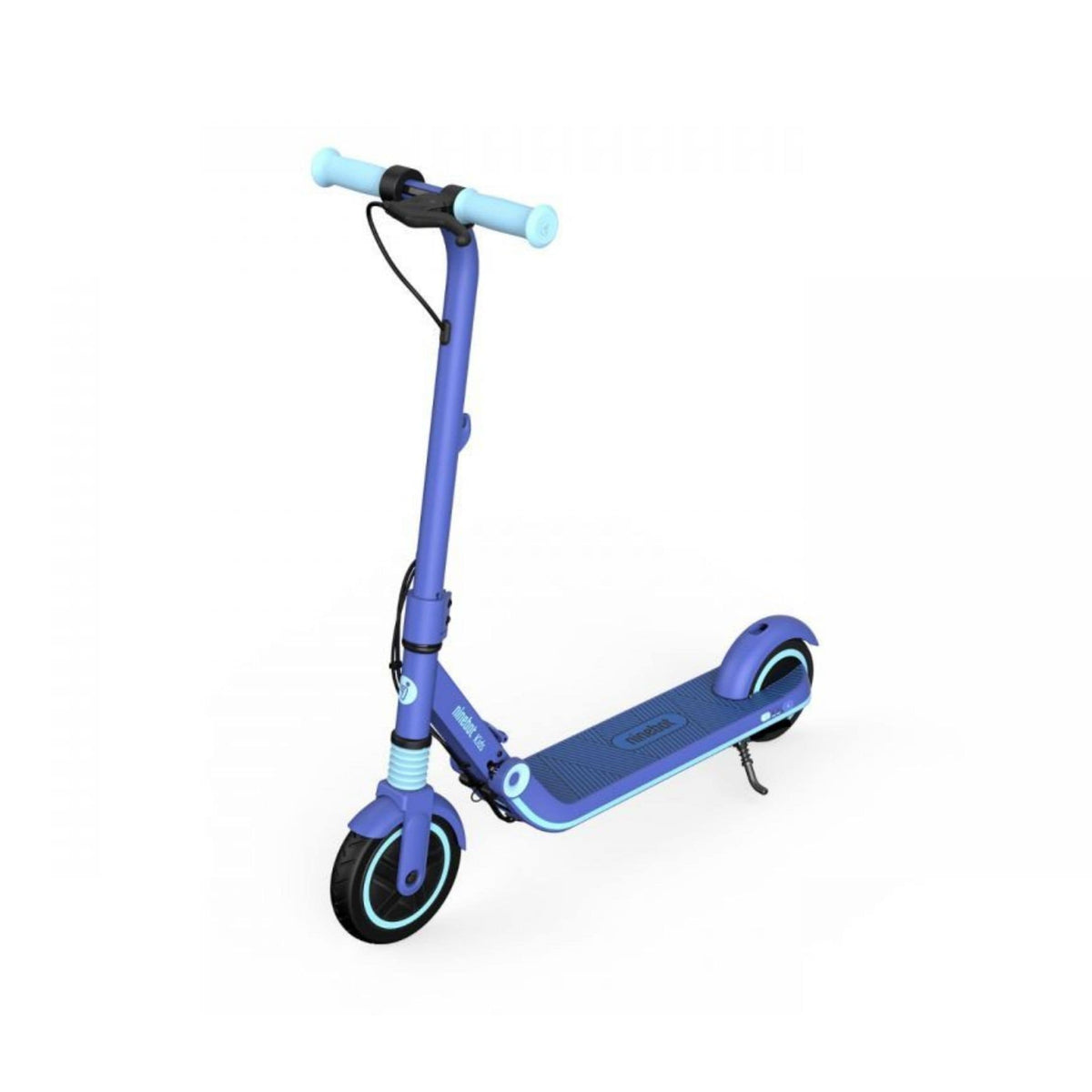 Segway Ninebot Zing E8 Electric Scooter