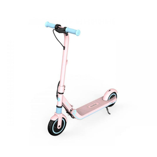 Segway Ninebot Zing E8 Electric Scooter
