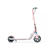 Segway Ninebot Zing E8 Electric Scooter